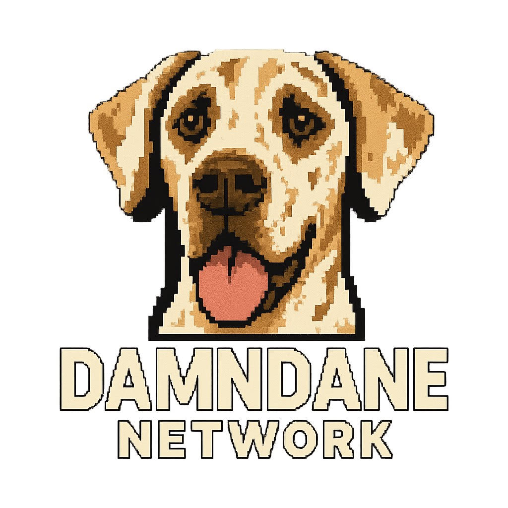 DamnDane Logo